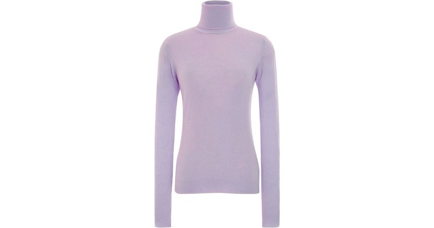 carven-purple-lilac-ribbed-wool-turtleneck-product-2-974633786-normal.jpeg (1200×630)