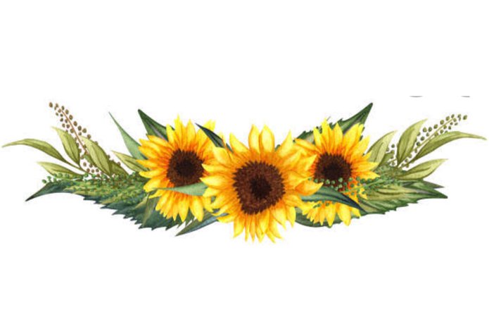 sunflowers 2