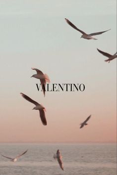 Valentino fashion aesthetic
