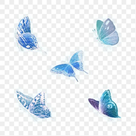 Neon blue butterfly illustrations set… | Free stock illustration | High Resolution graphic