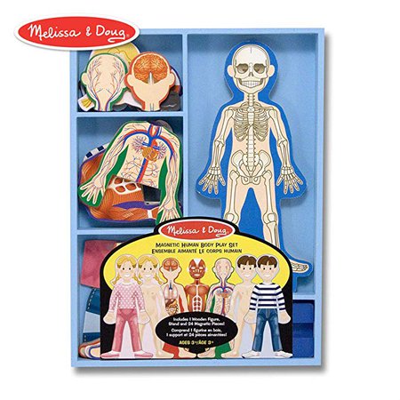 Amazon.com: Melissa & Doug Magnetic Human Body Anatomy Play Set (Anatomically Correct Boy and Girl Magnets, 24 Magnetic Pieces and Storage Tray): Melissa & Doug: Toys & Games
