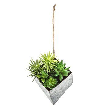 Succulents in Galvanized Metal Planter Wall Decor | Hobby Lobby | 1564970