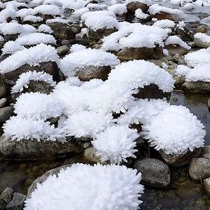 Ice Blossoms