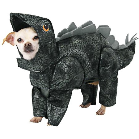 Animal Planet™ Stegosaurus Pet Costume | The Animal Rescue Site