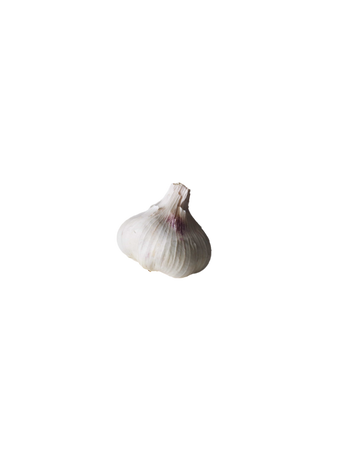 garlic food