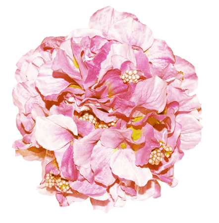 TiffanyErika's Extras - Pink fantasy Collection