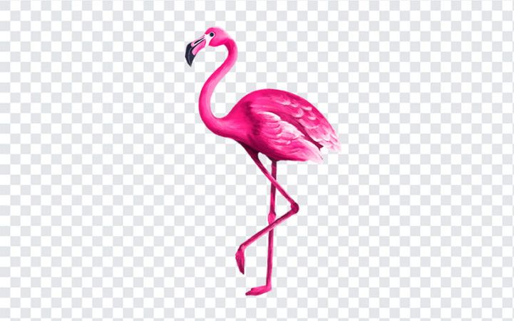 Watercolor Flamingo PNG | Download FREE - Freebiehive