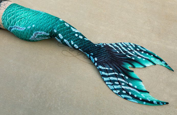 The Dark Sea Blue Green Teal Tail