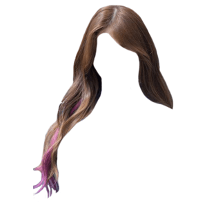 Brown Hair with Purple Streak PNG