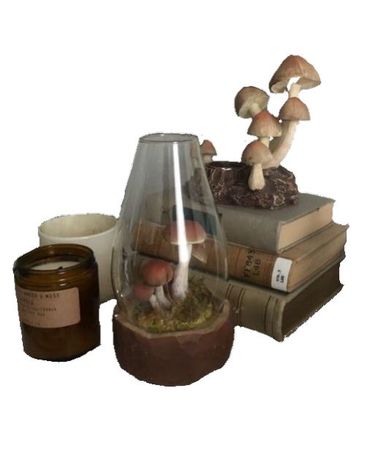 mushroom stuff