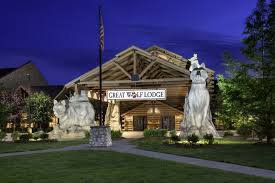 great wolf lodge - Google Search