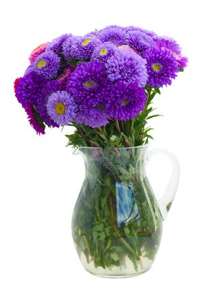 Bouquet Of Purple Aster Flowers In Vase Isolated On White Background Stock Photo, Picture And Royalty Free Image. Image 22643133.