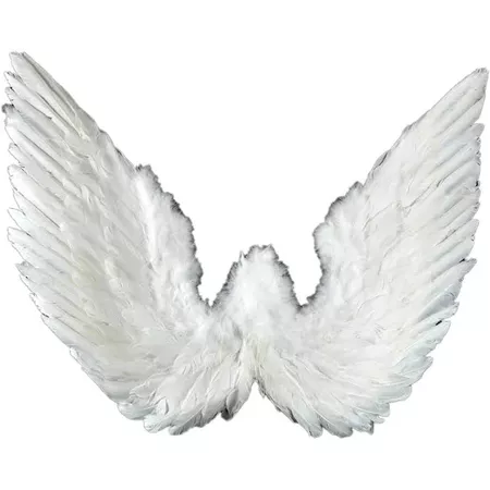 Midwest Design Imports 11021 White Feather Angel Wings