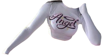angel long sleeve top
