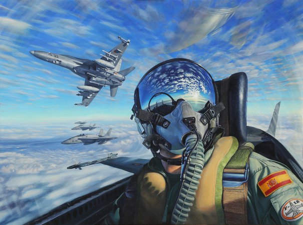 fighter pilot jet - air force