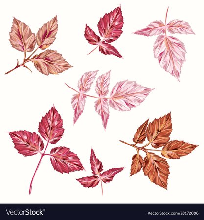 Collection pink autumn leaves realistic style Vector Image