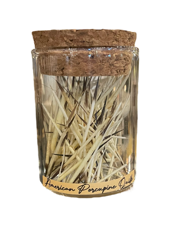 porcupine quill jar