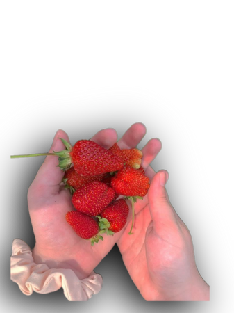 strawberries red fruit food
