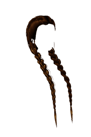 brown hair braids