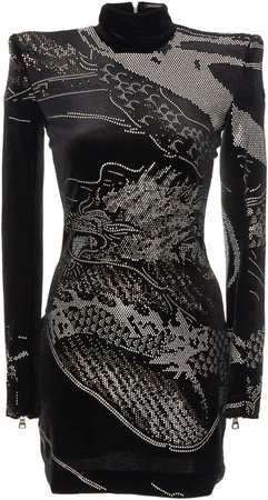 Dragon Printed Velvet Dress Size: 36