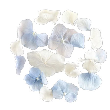 Pre-Mixed: Blue & White Hydrangea Petals