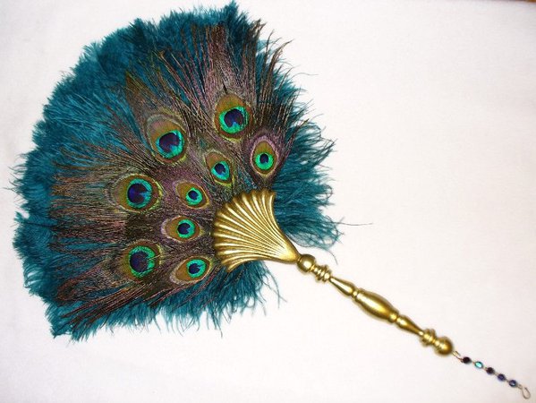 peacock fan