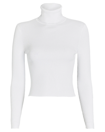 Eberly Rib Knit Turtleneck Top | Turtle neck, White long sleeve shirt, Egirl clothing