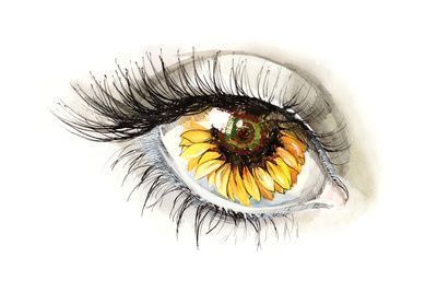 Yellow Sunflower Eye