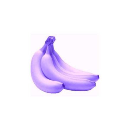 purple bananas