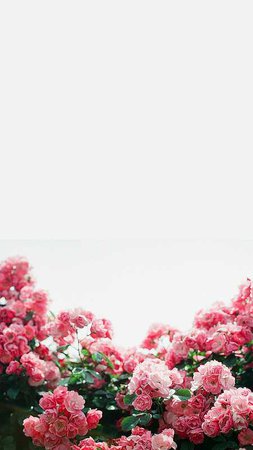 iPhone Wallpaper: Spring Symphony (March 2015) | Found on Tu… | Flickr