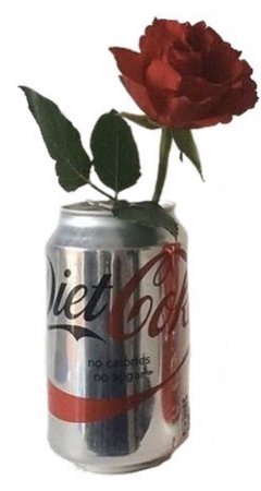 diet coke with roses