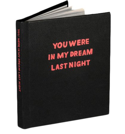 you were in my dream last night book