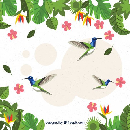 colibri spring