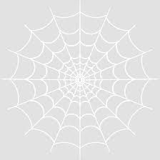 white spiderweb - Google Search