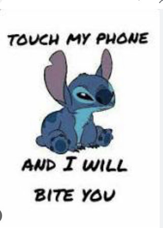 touch my phone and I will bit you