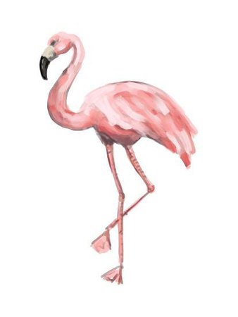 pink-flamingo_u-l-f95dwg0.jpg (413×550)
