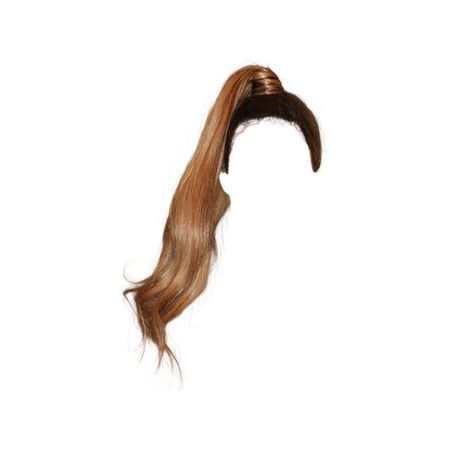 long brown hair high ponytail hairstyle