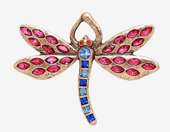 Coraline’s Dragonfly hair clip