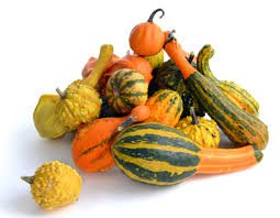pumpkins and gourds - Google Search