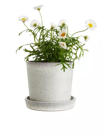 Terracotta Flower Pot 12 cm - Off White - Home - ARKET WW