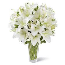 white lilies – Google Sök
