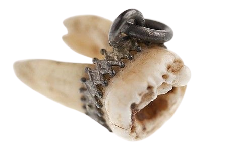 Tooth amulet