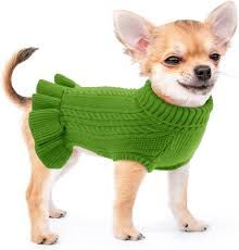 little dog in green sweater - Google Search