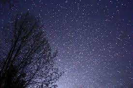 starry skies - Google Search