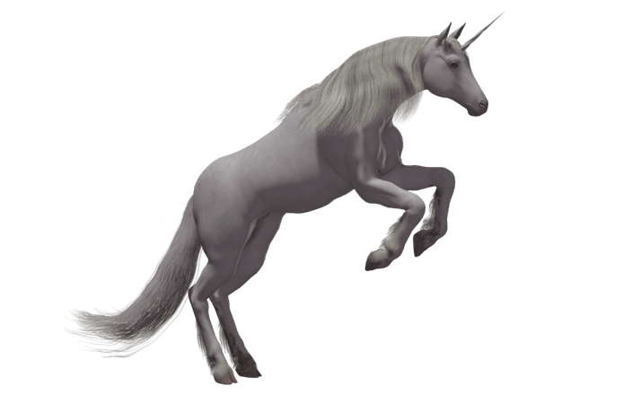 Unicorn PNG Image - PurePNG | Free transparent CC0 PNG Image Library