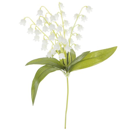 lily of the valley - Google Search