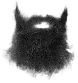 black wizard beard