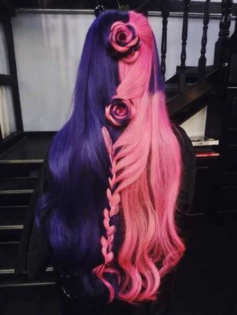 purple and pink hair rose