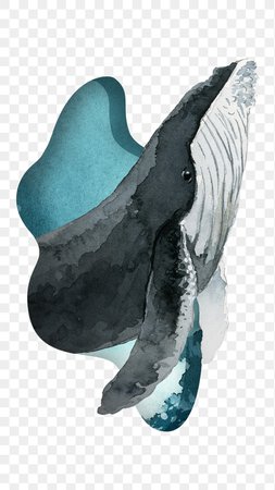 Humpback whale in watercolor png | Free stock illustration | High Resolution graphic