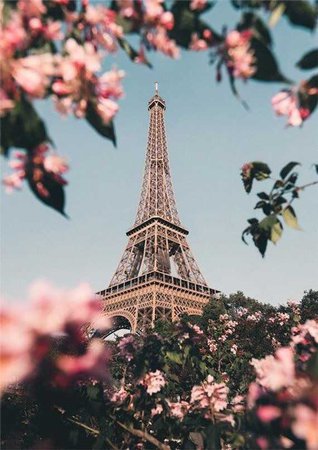 cherry blossom tower